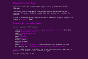 screenshot of "Brodokk's cyber home"