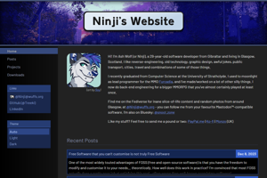 screenshot of "Ninji's Website"